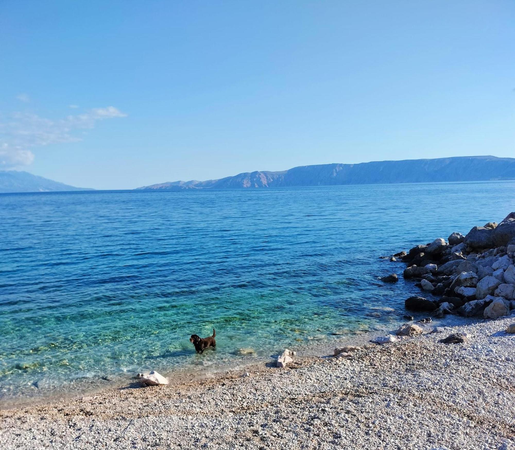Apartmani Ivana Novi Novi Vinodolski Δωμάτιο φωτογραφία